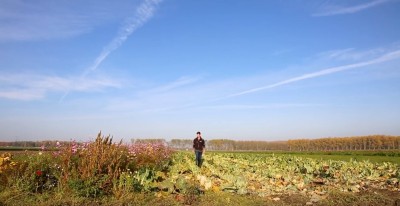 Bekijk strokenteelt in de proeftuin